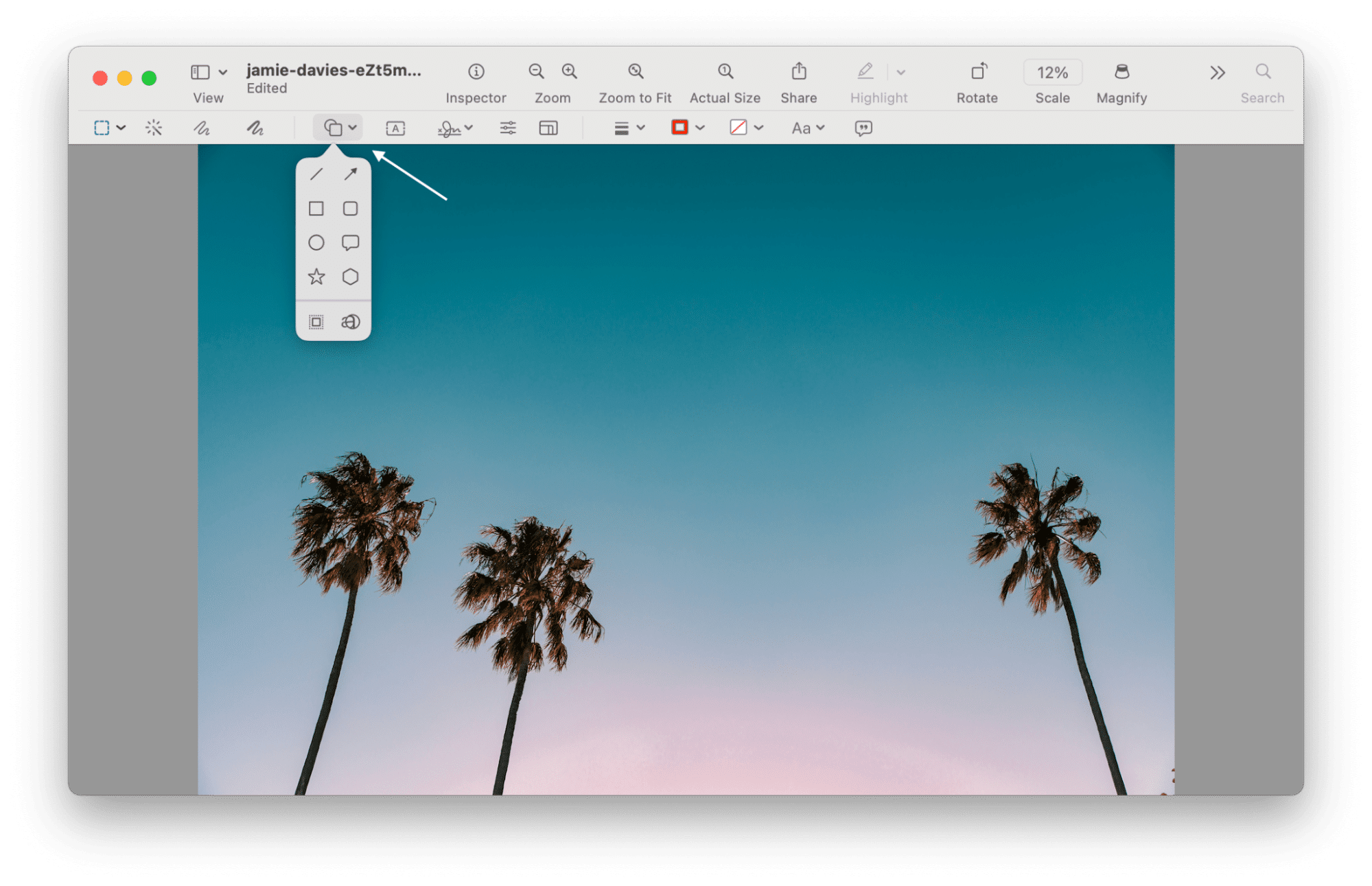 Preview на Mac с открытой панелью фигур поверх фотографии
