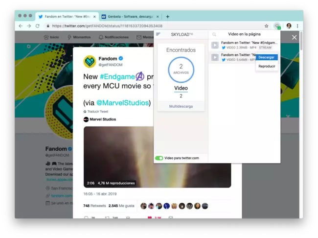 Панель Skyload со списком найденных видеопотоков