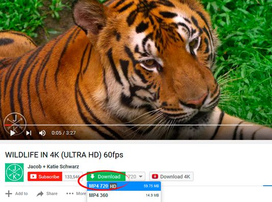 SaveFrom.net Helper с зелёной кнопкой Download и выбором качества видео