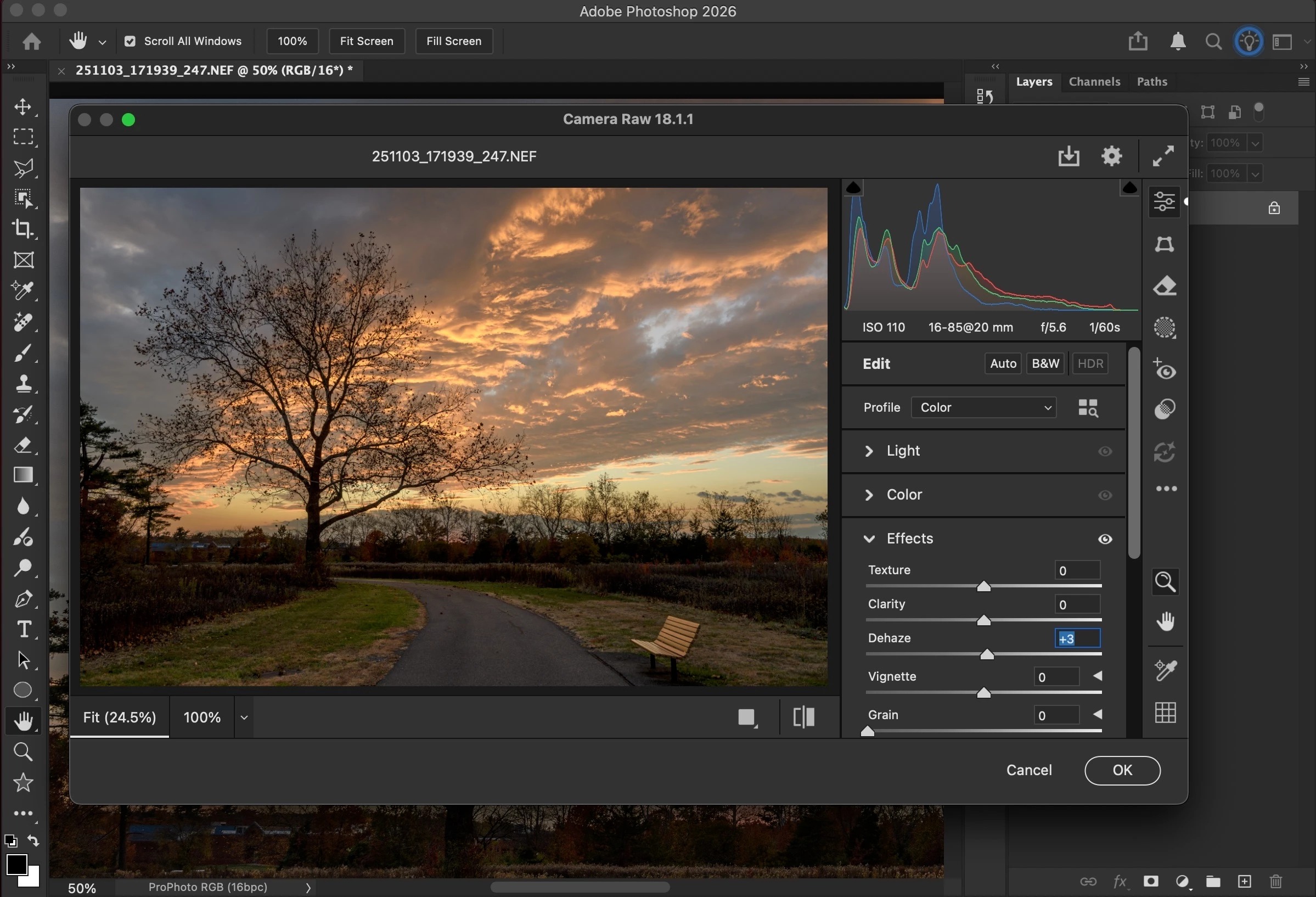 Интерфейс Adobe Camera Raw 18.1.1 в Photoshop 2026 с гистограммой и панелью параметров