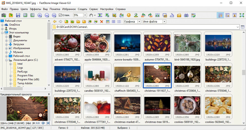 FastStone Image Viewer с деревом папок и сеткой фотографий
