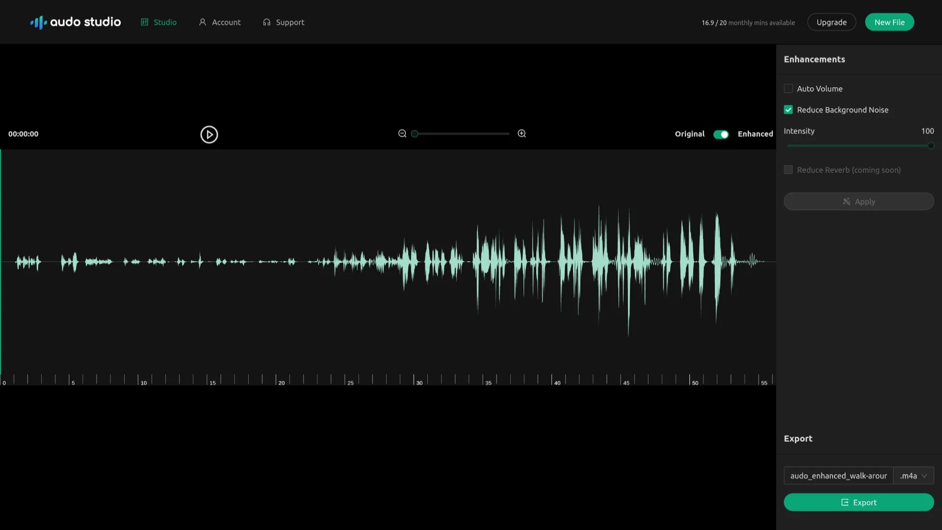 Интерфейс Audo Studio с волновой формой, Auto Volume и Reduce Background Noise