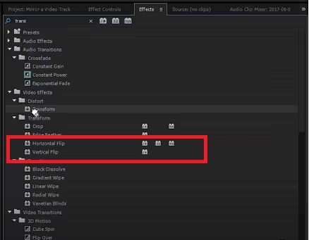 Эффекты Horizontal Flip и Vertical Flip в Adobe Premiere Pro