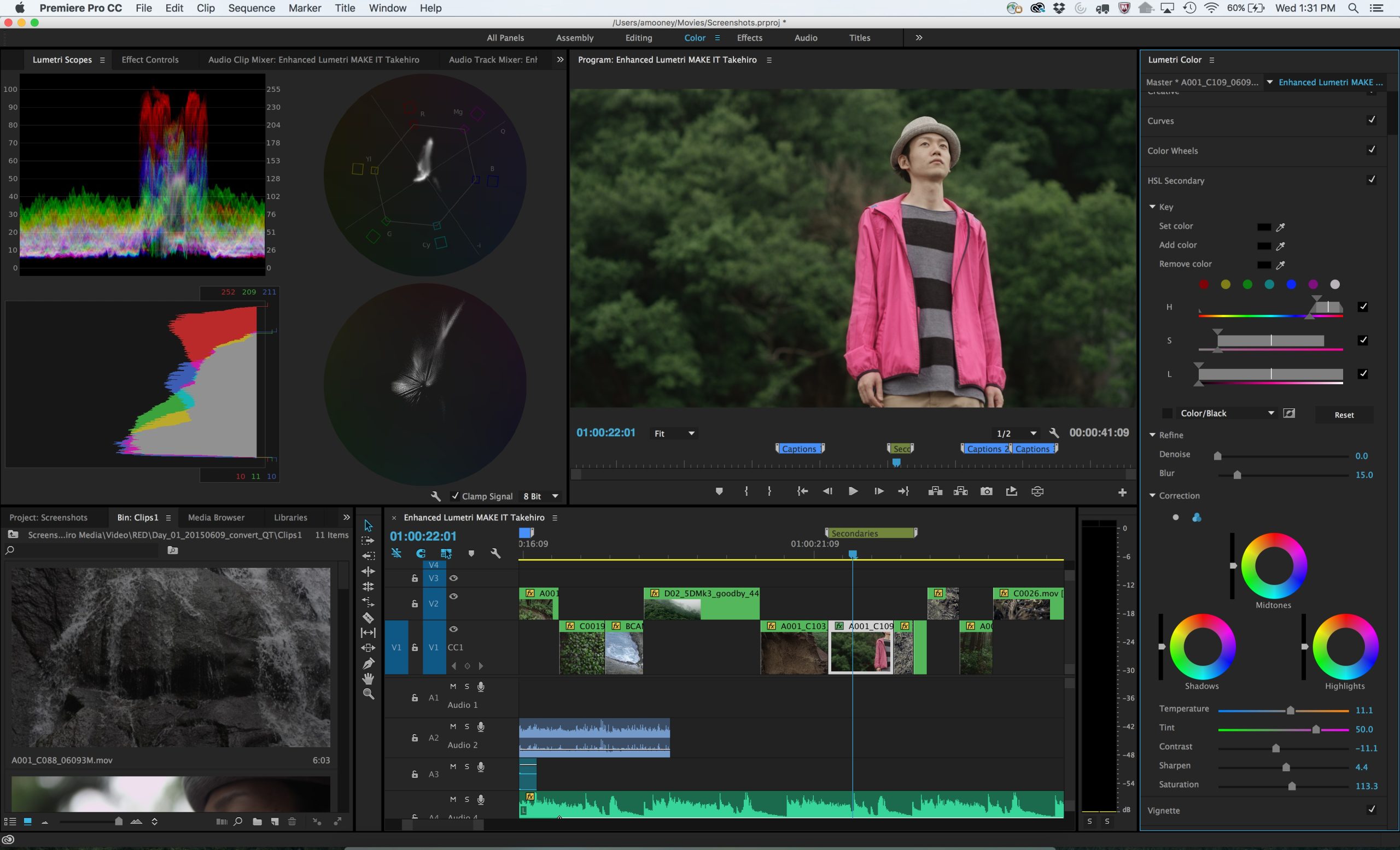 Интерфейс Adobe Premiere с панелью Lumetri Color