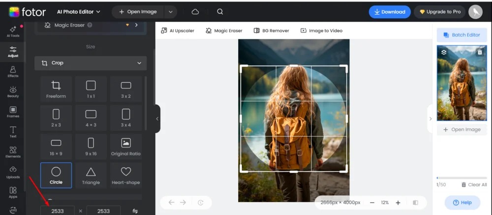 Интерфейс Fotor с выбранным круговым кадрированием