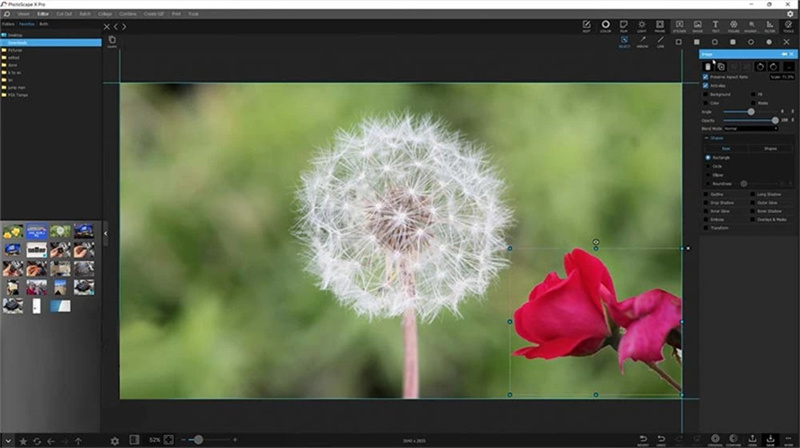 Интерфейс PhotoScape X Pro с фотографией и панелями редактирования