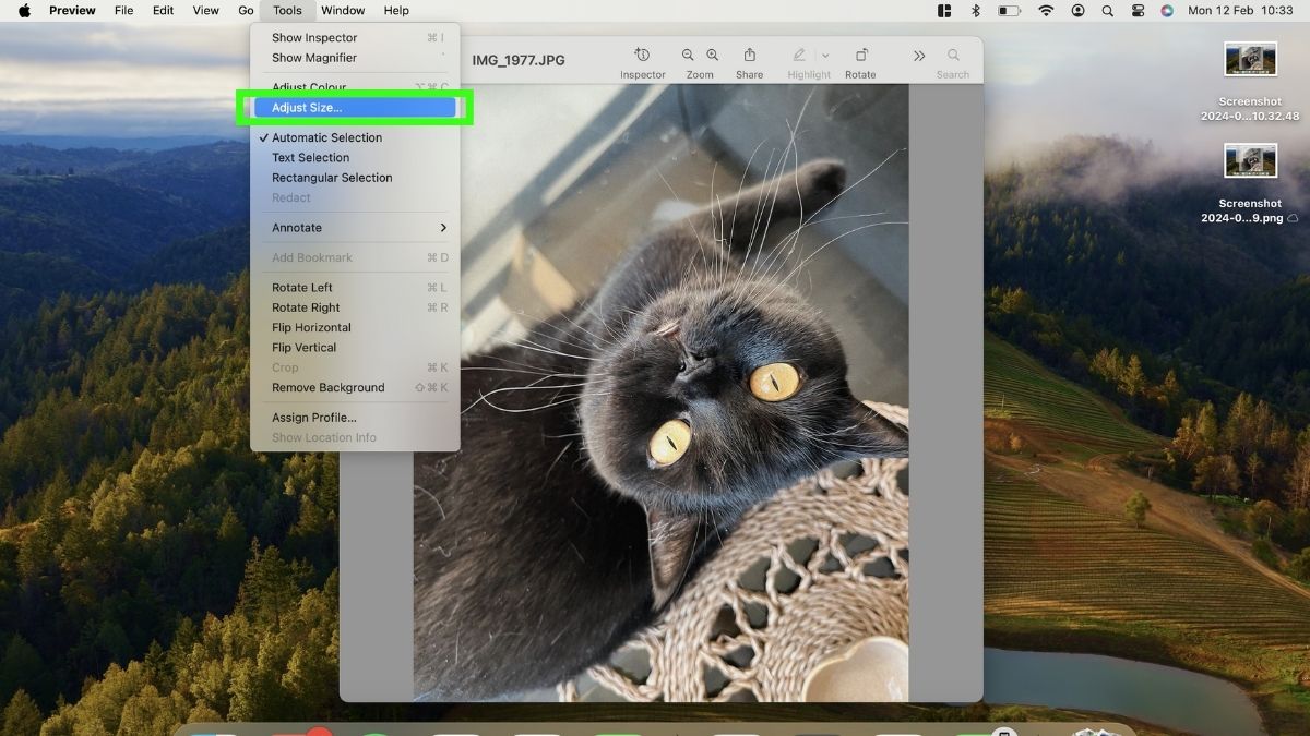 Preview на macOS с открытым пунктом Tools Adjust Size