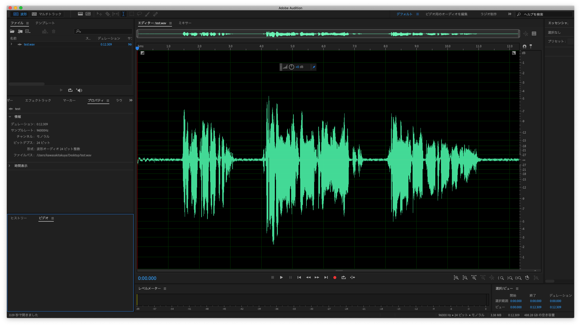 Интерфейс Adobe Audition в режиме Waveform с открытой звуковой дорожкой