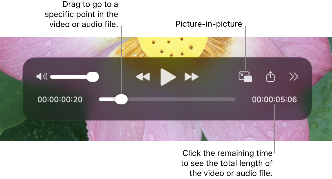 Панель воспроизведения QuickTime Player с кнопками перемотки, паузы и громкости