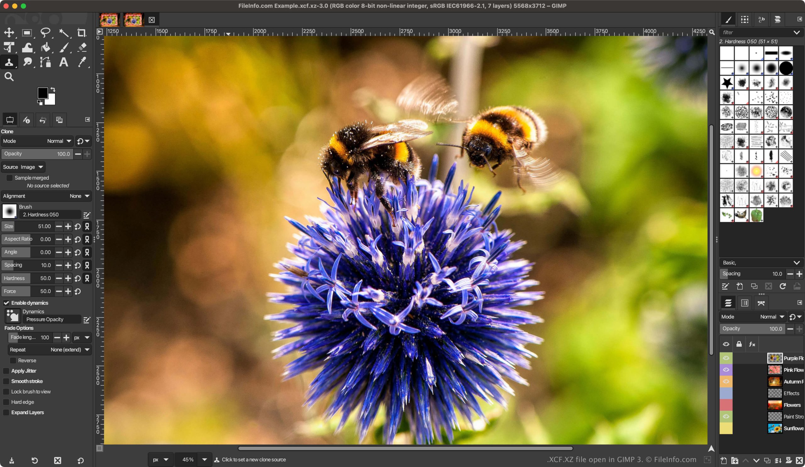 Интерфейс GIMP с фотографией, слоями и панелями инструментов