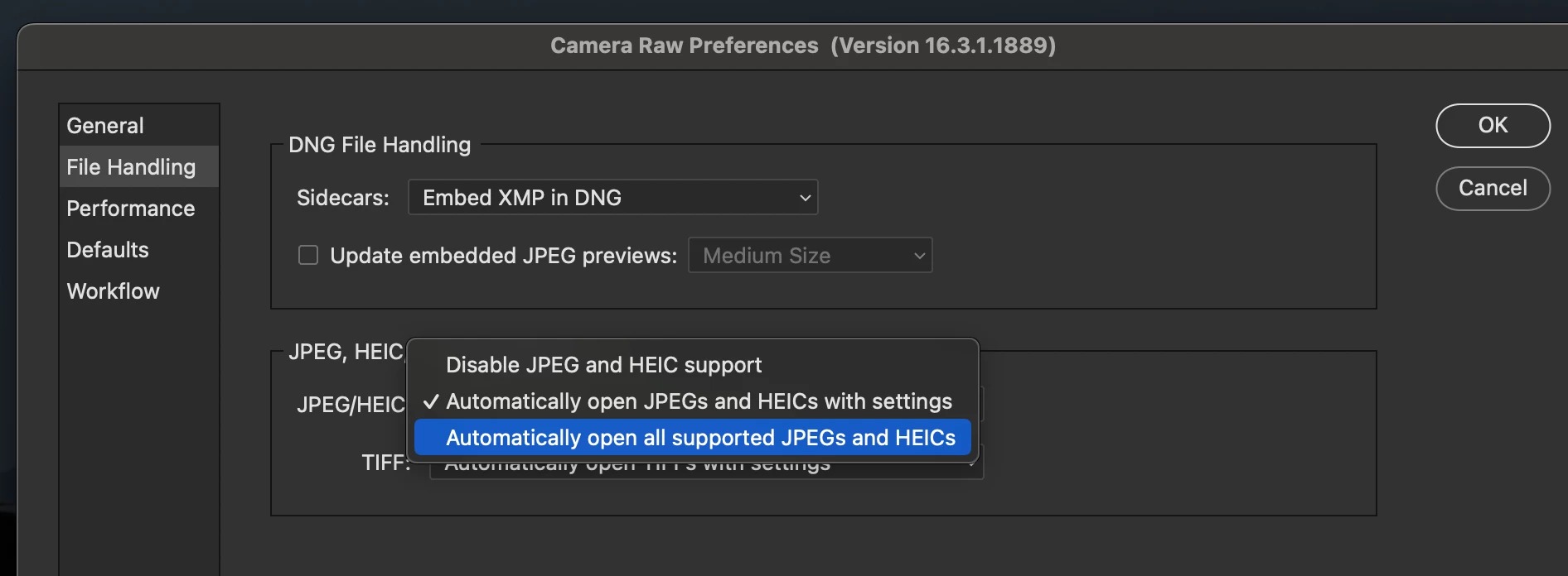 Camera Raw Preferences в Photoshop с параметрами обработки JPEG и HEIC