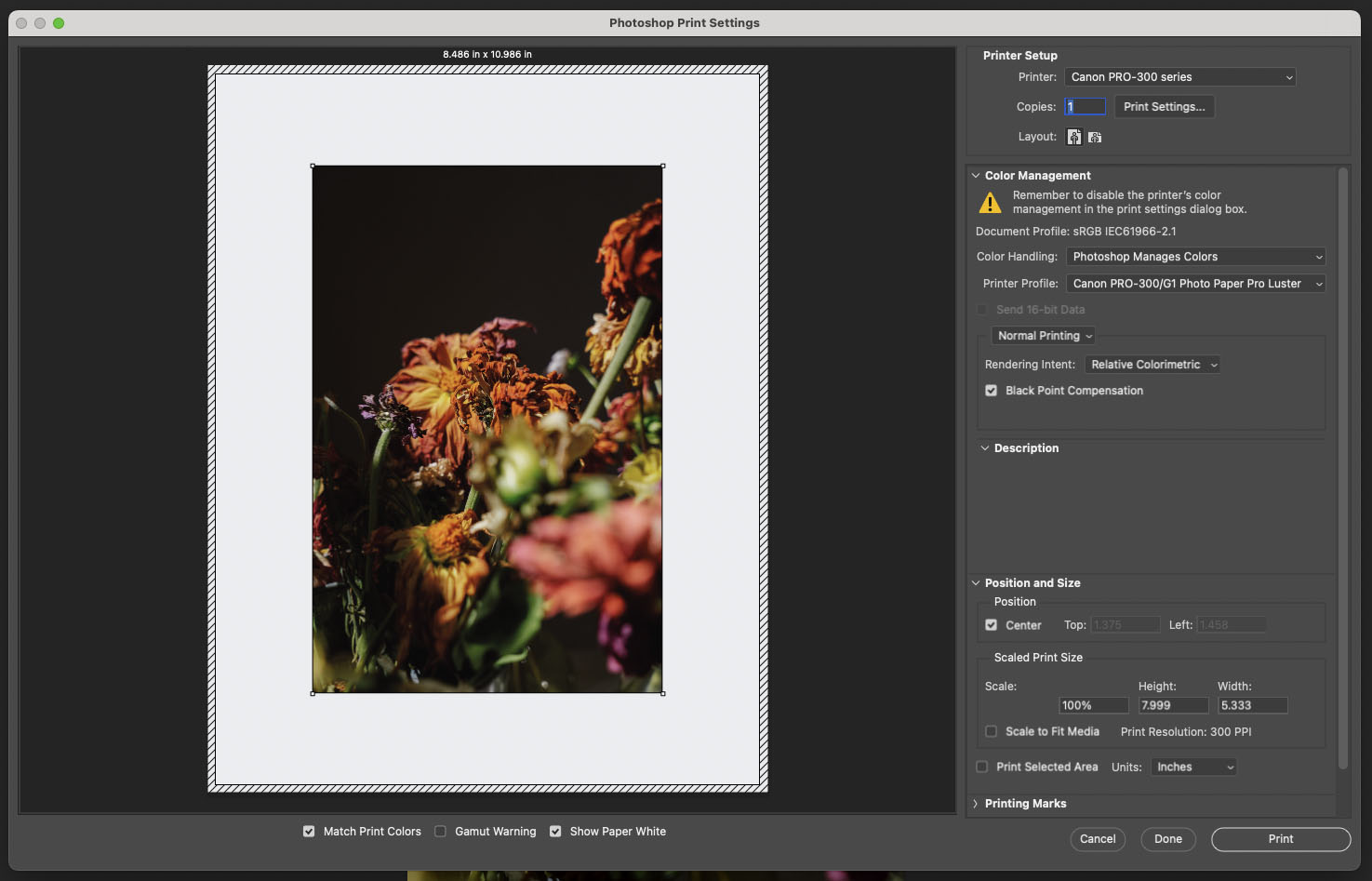 Окно Photoshop Print Settings с предпросмотром, настройками принтера, управлением цветом и размером