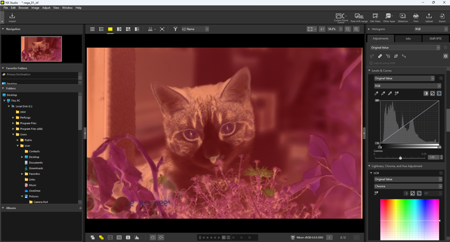 Оцифрованный плёночный негатив в Nikon NX Studio и панель Levels and Curves