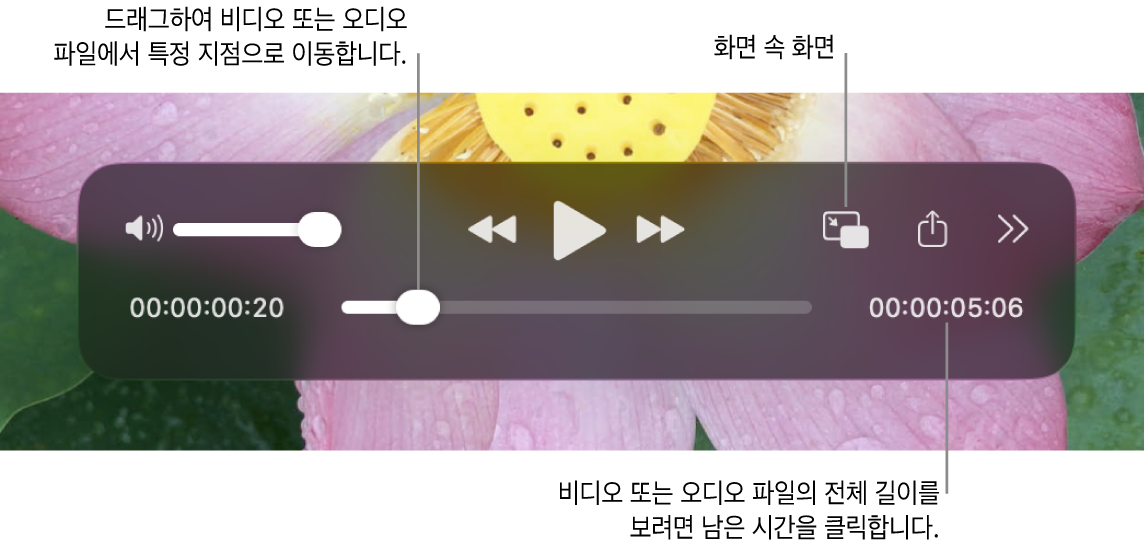 Панель воспроизведения QuickTime Player