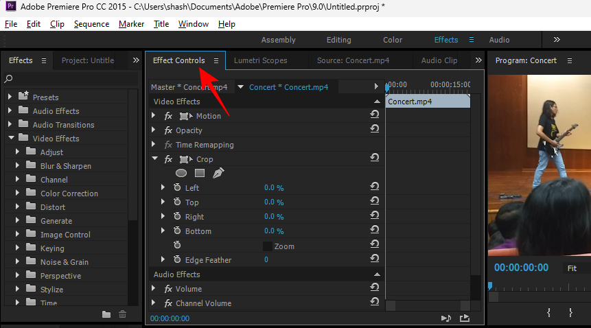 Рабочая область Adobe Premiere Pro с панелью параметров клипа