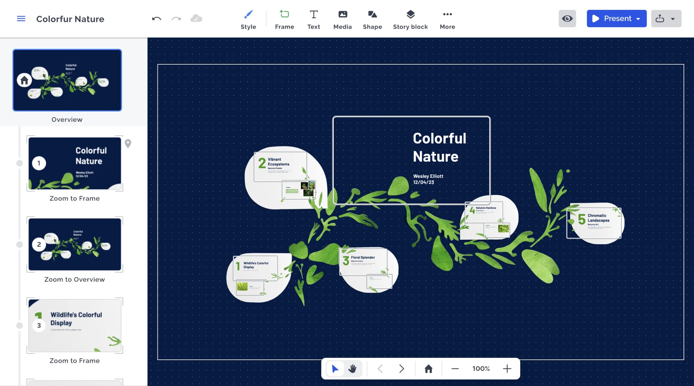 Редактор Prezi Present с общей схемой презентации, кадрами и панелью масштабирования