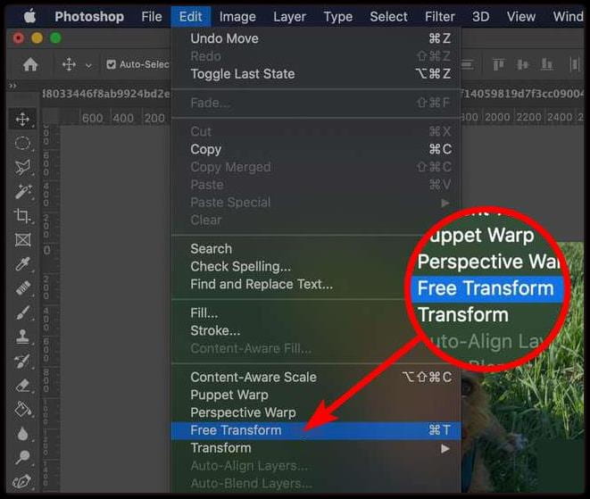 Интерфейс Adobe Photoshop при изменении размера изображения