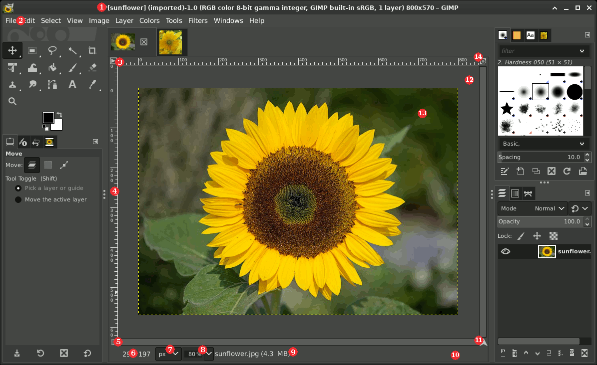 Однооконный интерфейс GIMP с панелью инструментов, холстом и слоями