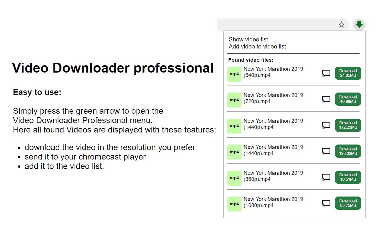 Меню Video Downloader Professional с найденными вариантами видео