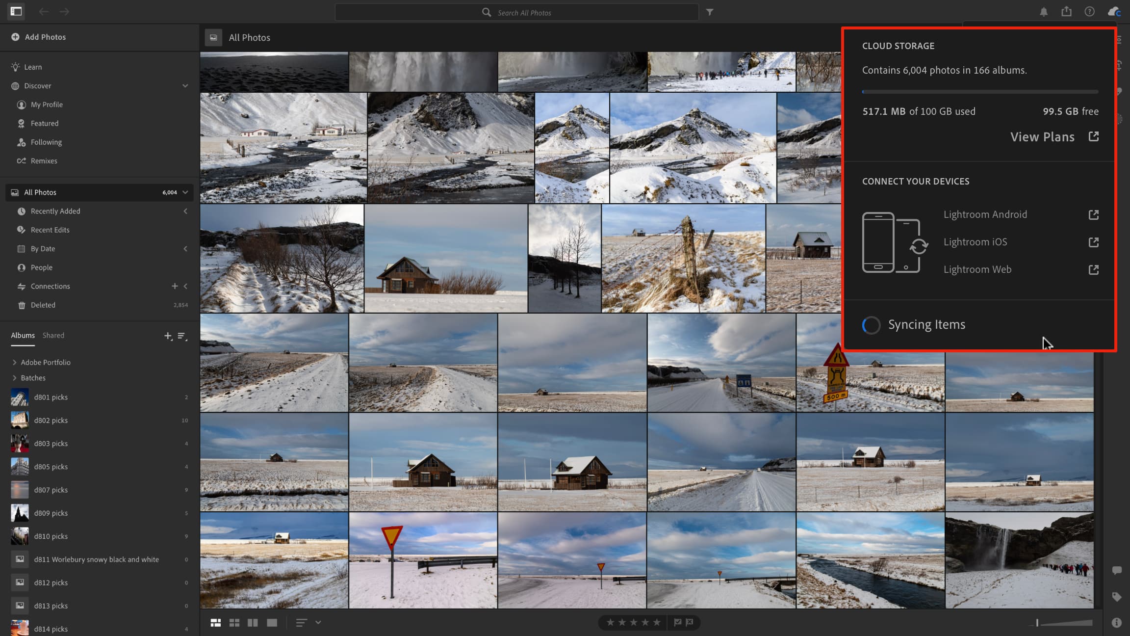 Рабочее окно Adobe Lightroom с фотографией и панелями коррекции