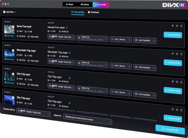 Очередь конвертации DivX 11 с профилями и кнопками Convert