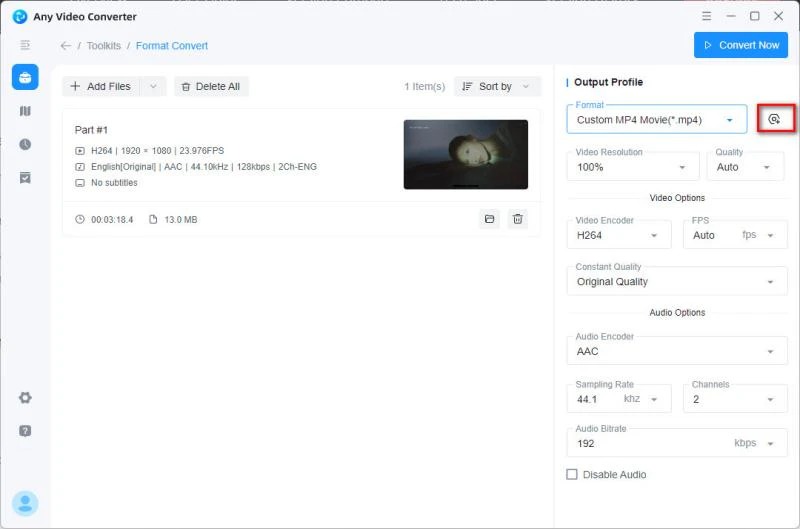 Any Video Converter Format Convert с профилем MP4 и отдельным выбором H.264