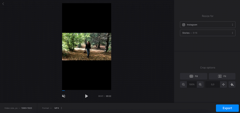 Интерфейс Clideo с вертикальным холстом 9 на 16 и широким видео