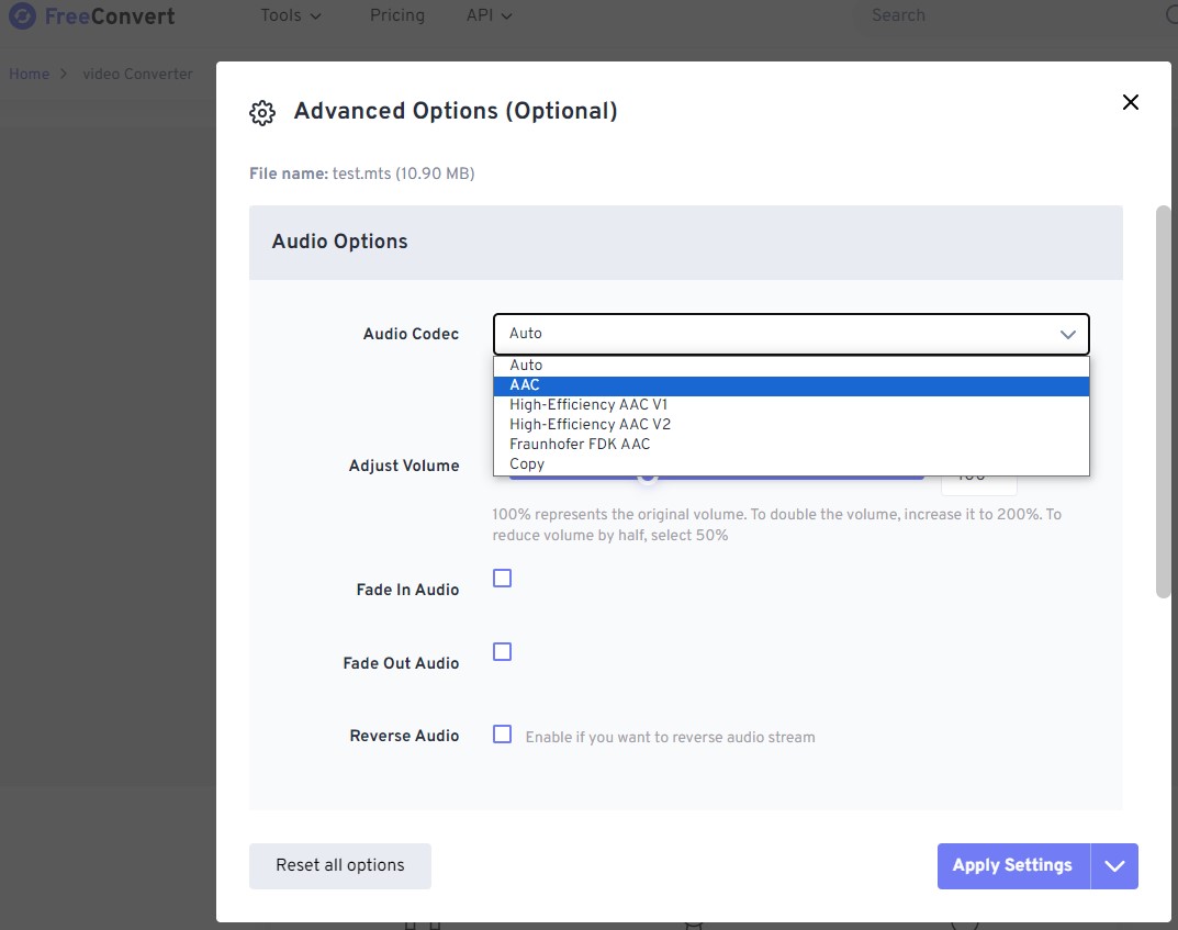Расширенные настройки FreeConvert с пунктом Copy в списке Audio Codec