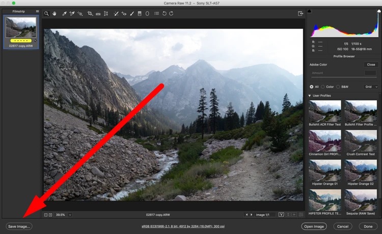 Интерфейс Adobe Camera Raw с кнопкой Save Image
