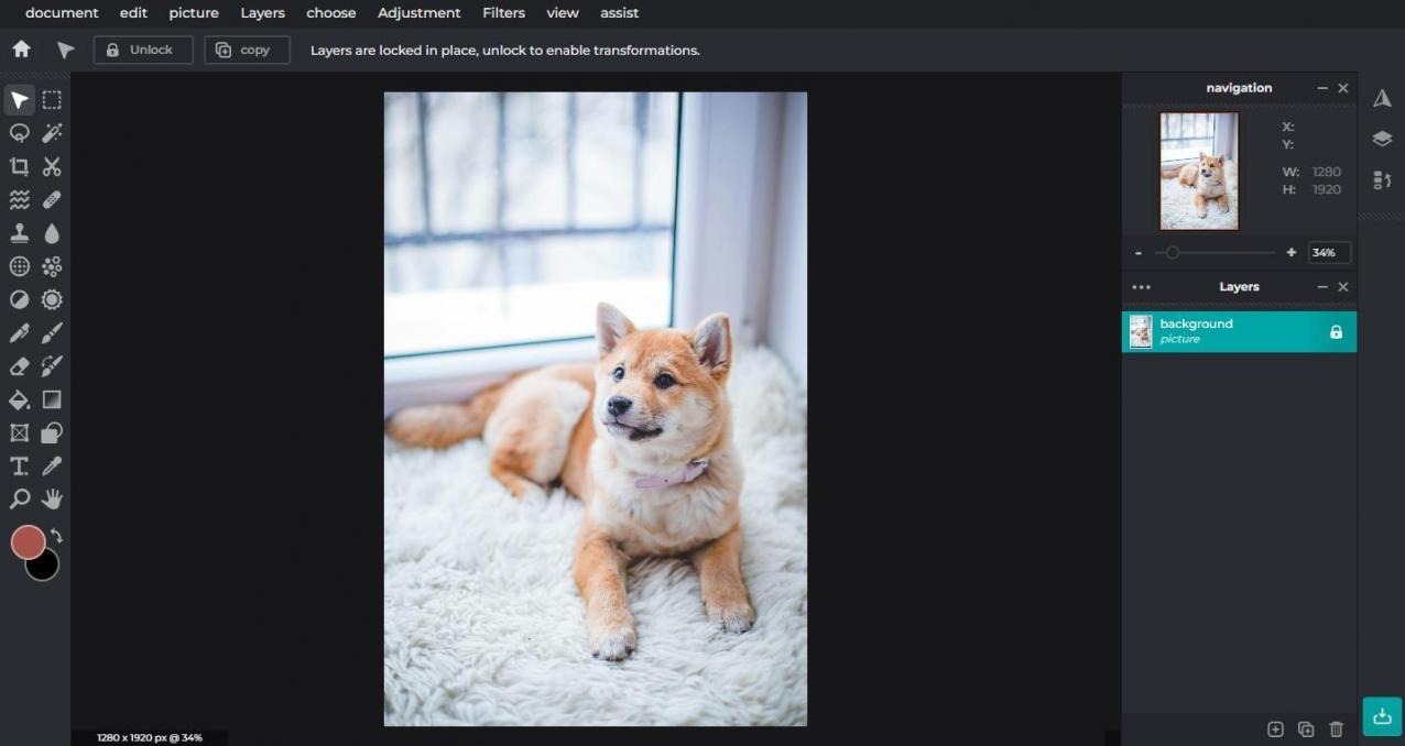 Pixlr Editor с фотографией, панелью слоёв и инструментами