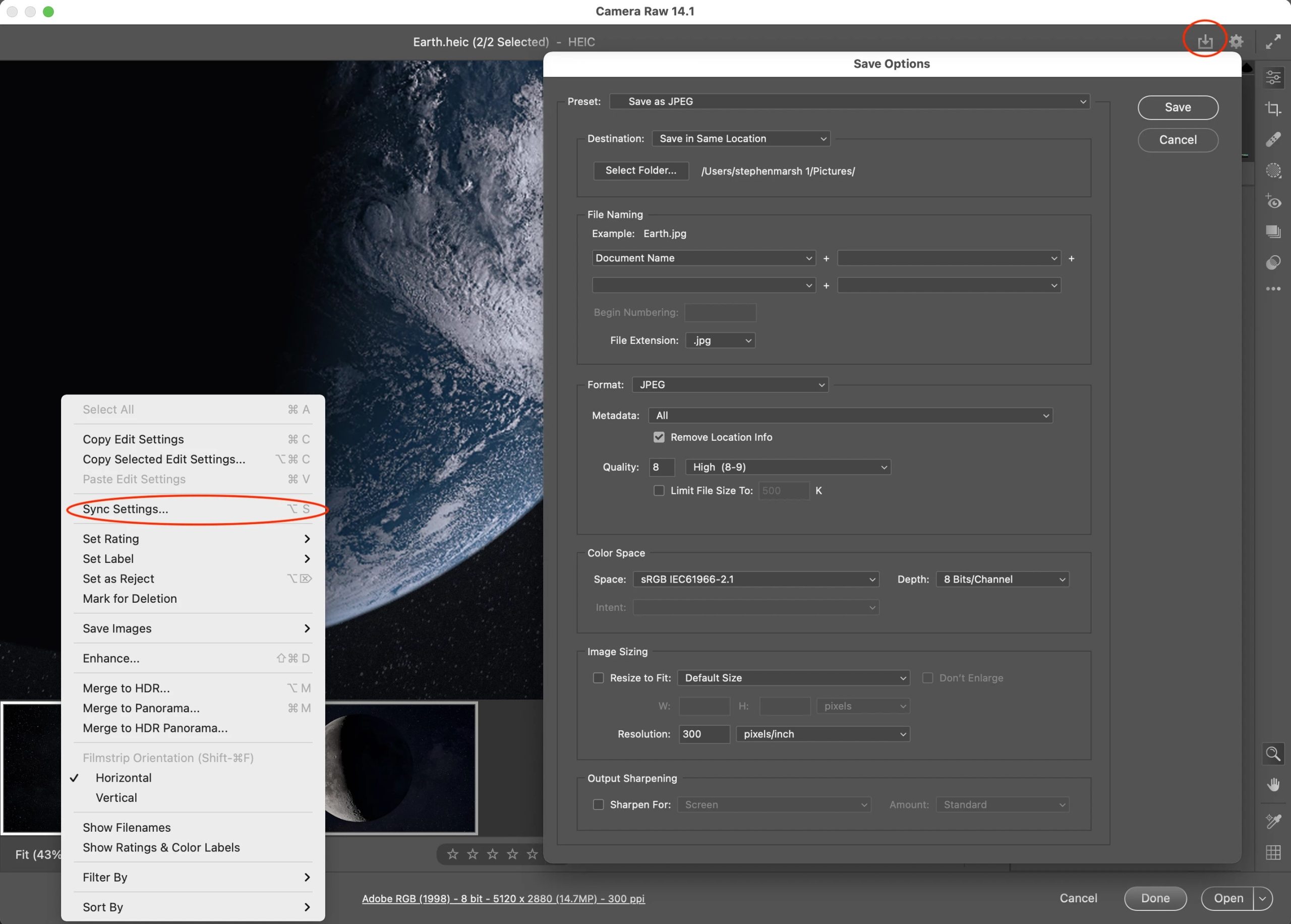 Camera Raw с окном Save Options для сохранения изображения в JPEG