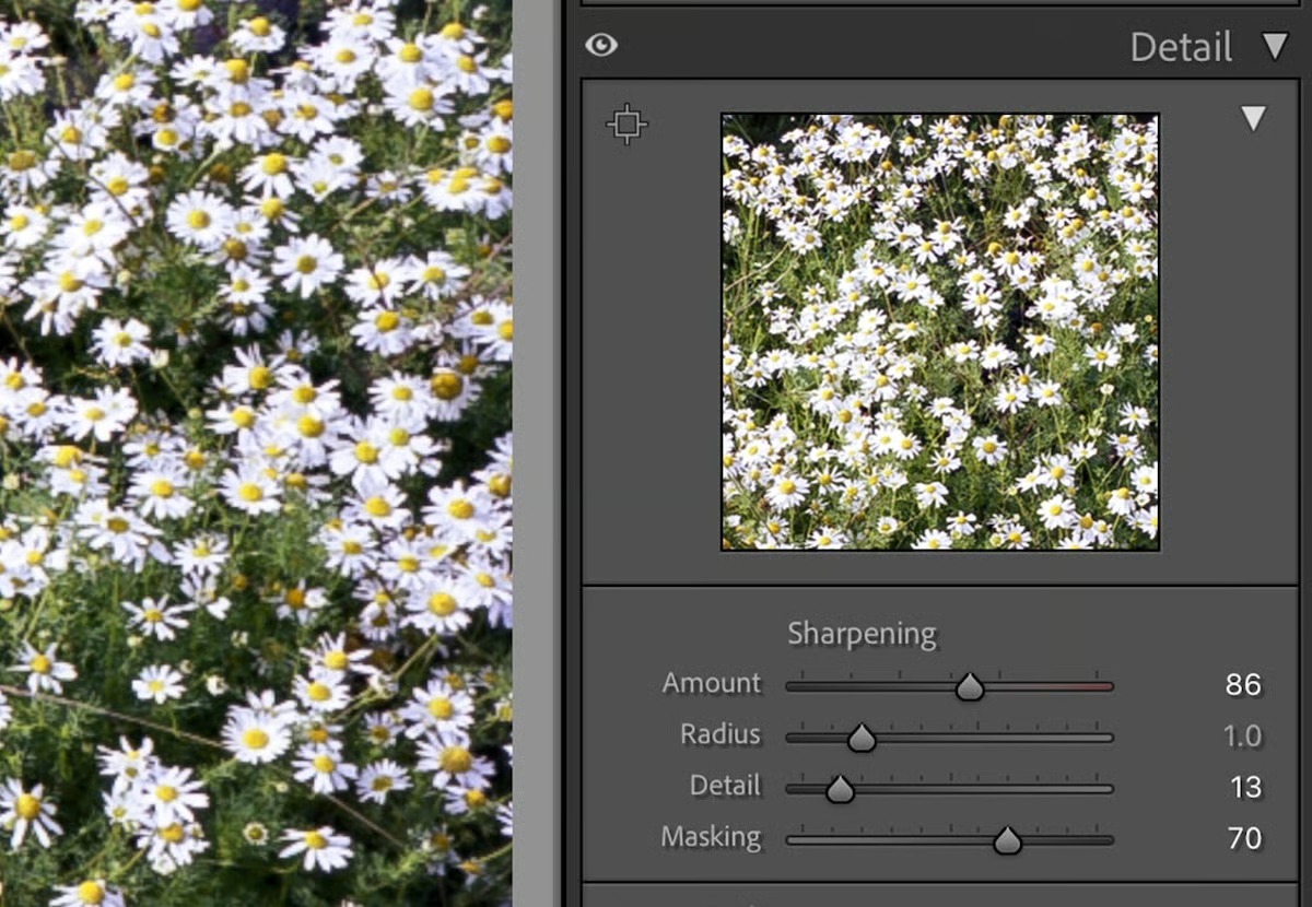 Панель Detail в Adobe Lightroom Classic с параметрами Amount, Radius, Detail и Masking