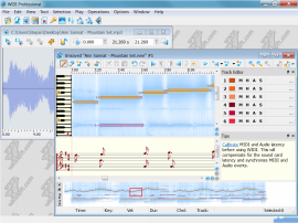 Интерфейс WIDI Recognition System Professional с MIDI-нотами и спектрограммой