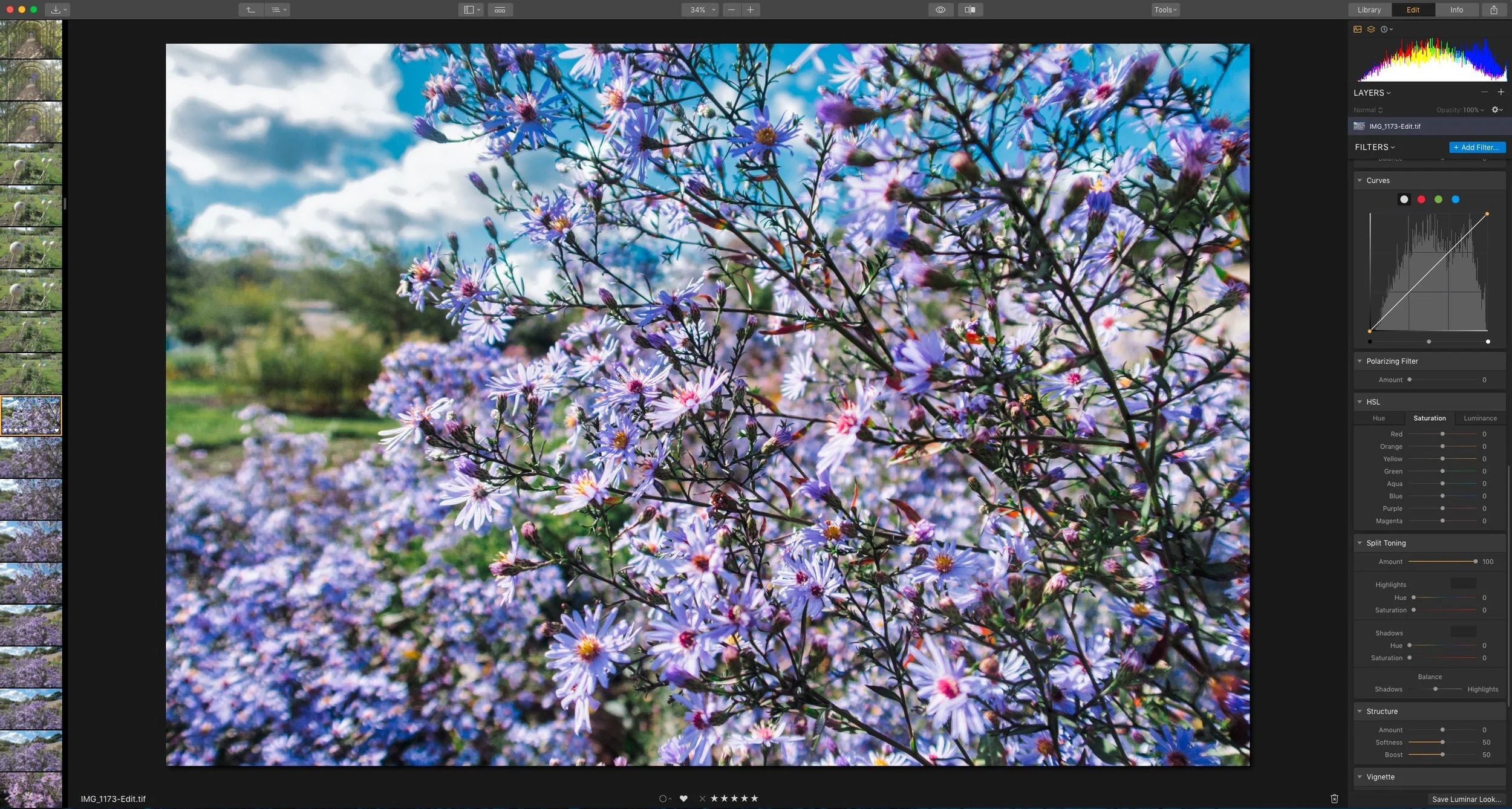 Интерфейс Luminar 3 с фотографией и панелью фильтров