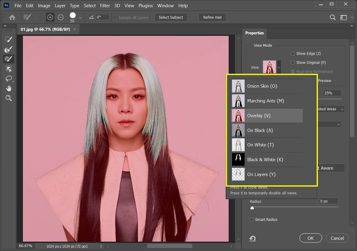 Adobe Photoshop с выделением волос в рабочей области Select and Mask