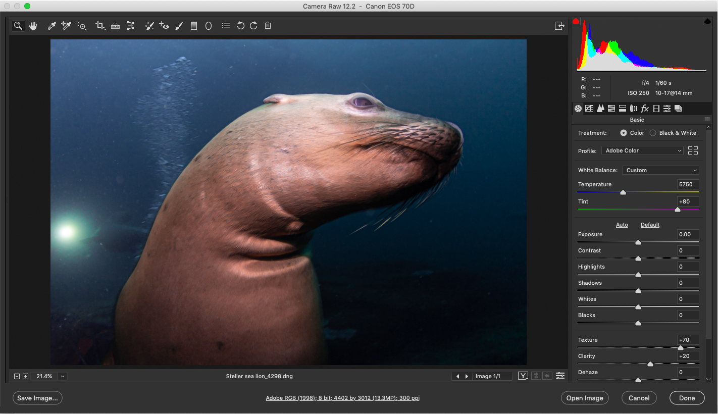 Окно Adobe Camera Raw с гистограммой и панелью Basic