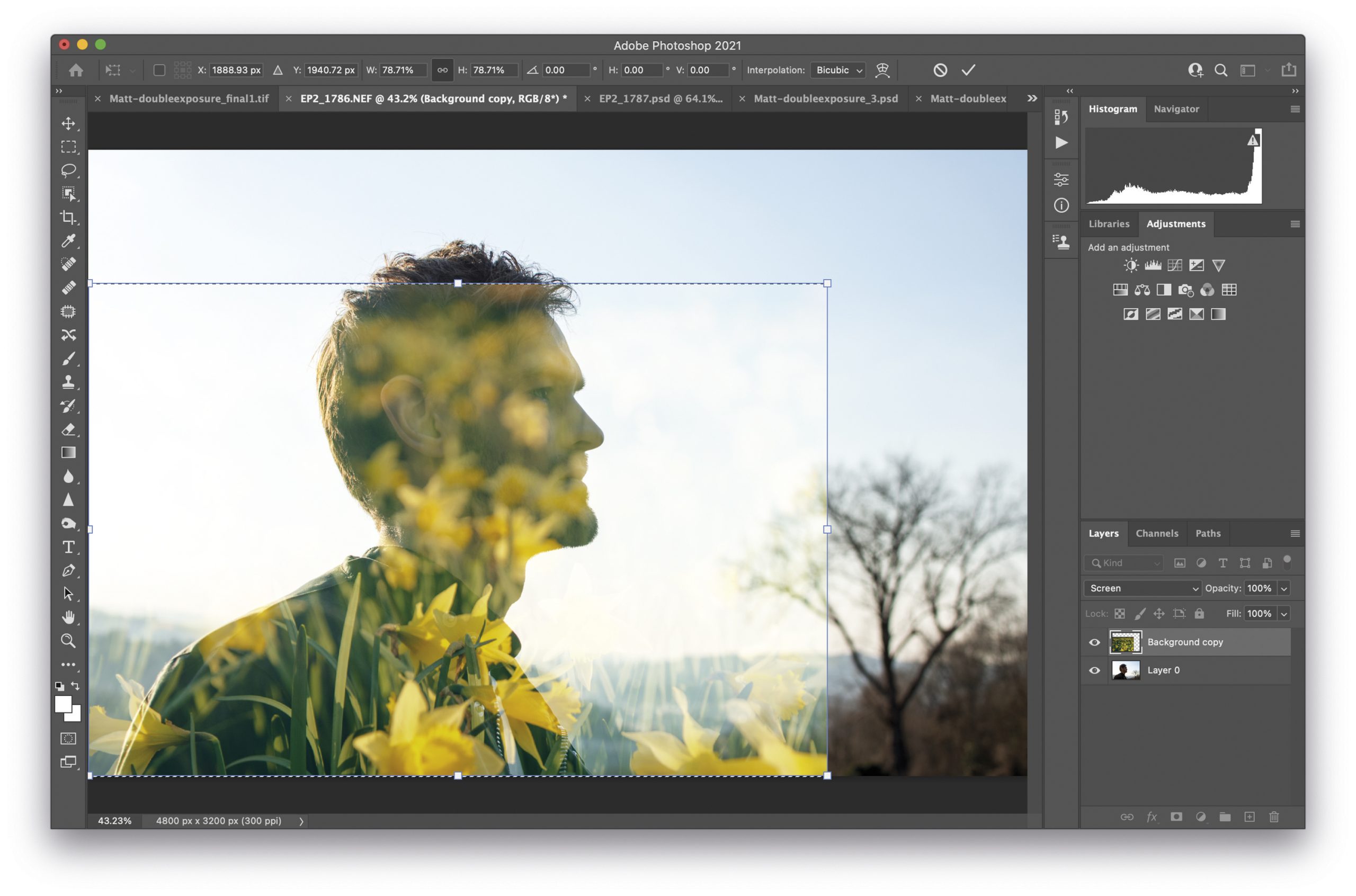Photoshop: двойная экспозиция с режимом Screen в панели Layers