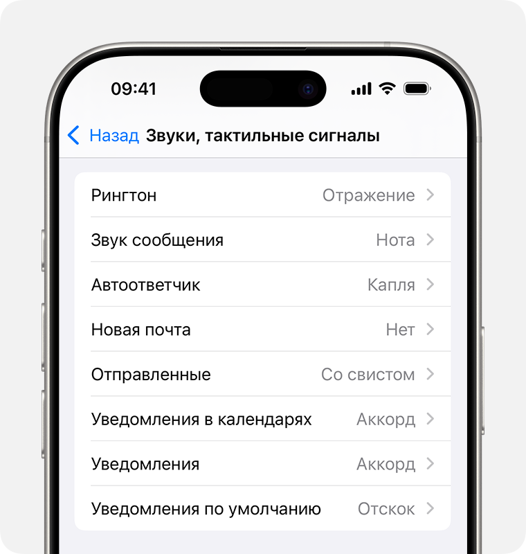 Раздел Звуки и тактильные сигналы в настройках iPhone