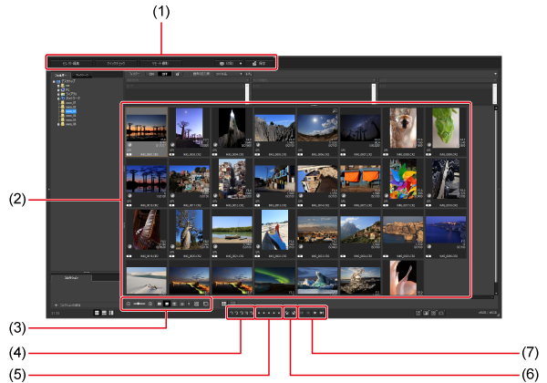 Интерфейс Canon Digital Photo Professional с панелью папок и сеткой миниатюр