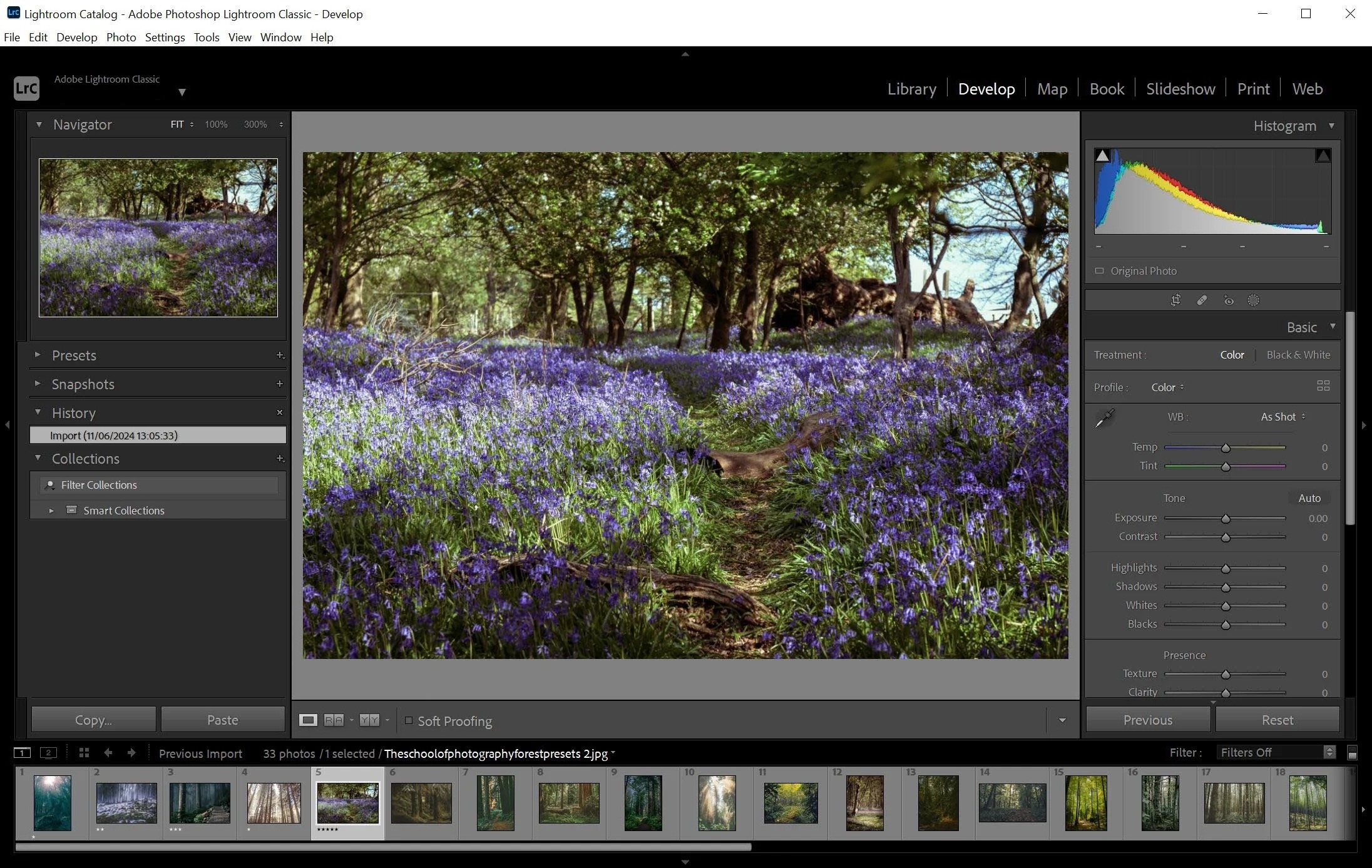 Модуль Develop в Adobe Lightroom Classic