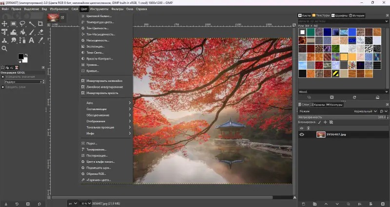 Интерфейс GIMP с холстом, панелью инструментов и слоями