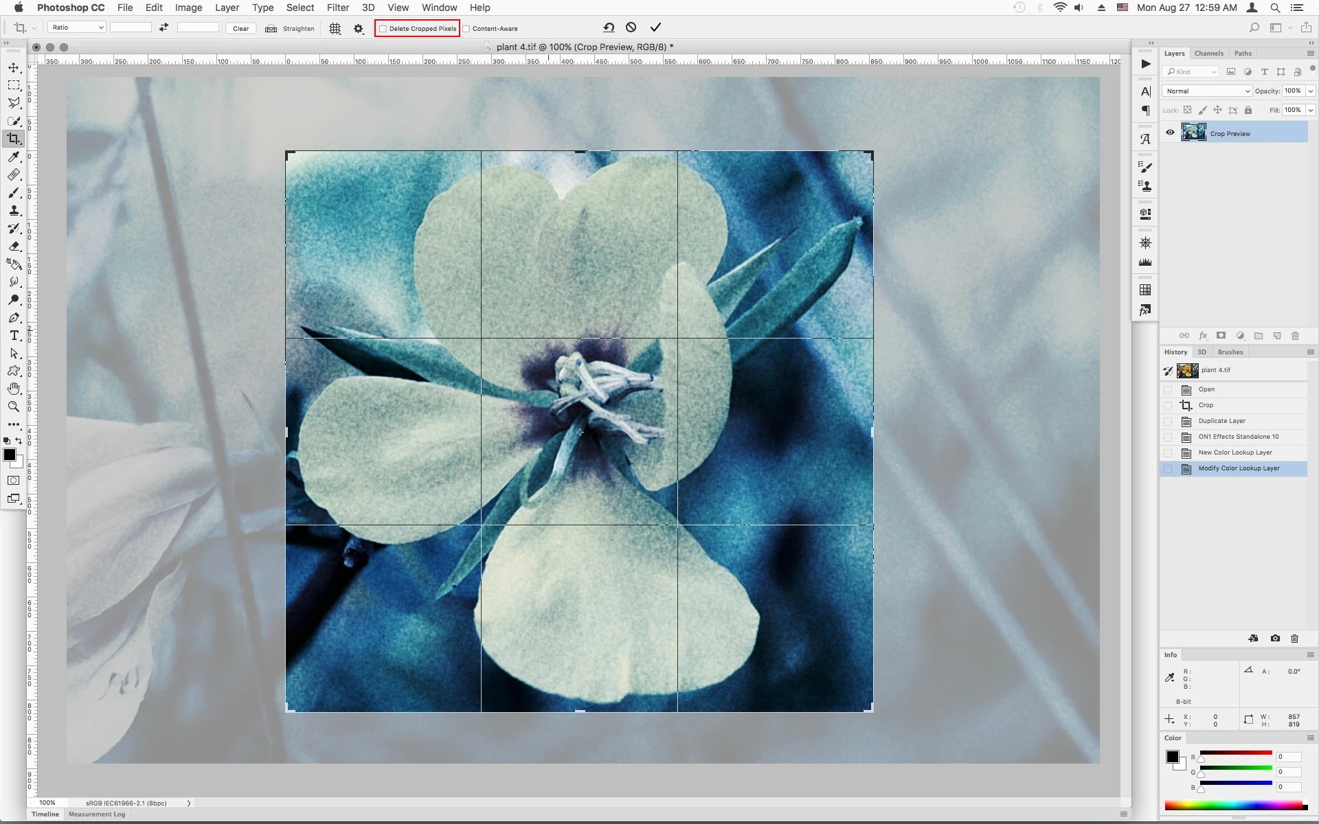 Photoshop с активным Crop Tool и параметром Delete Cropped Pixels в верхней панели