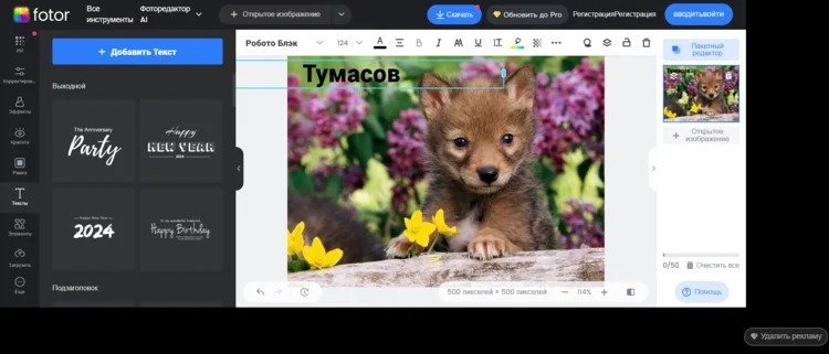 Веб-интерфейс Fotor с рабочим холстом, панелью инструментов и объектом поверх фотографии