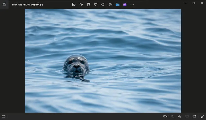 Интерфейс Microsoft Photos в Windows с открытой фотографией