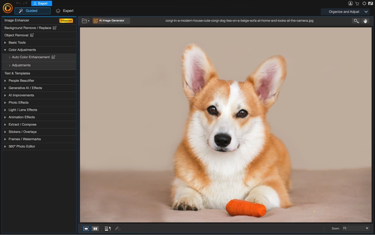 Интерфейс CyberLink PhotoDirector на macOS с фотографией и панелями обработки