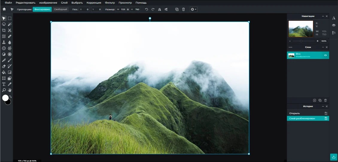 Браузерный интерфейс Pixlr с холстом, панелью инструментов и слоями