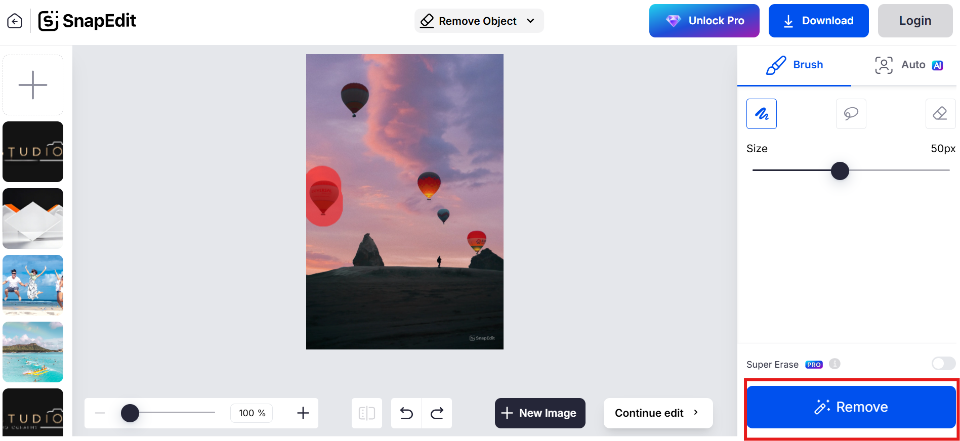 Интерфейс SnapEdit с Brush Auto AI и кнопкой Remove