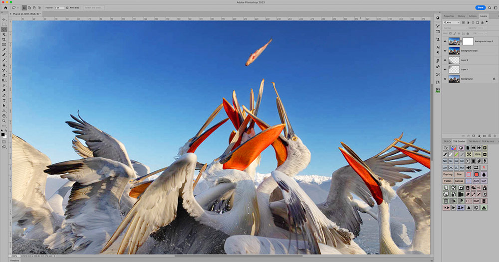 Интерфейс Adobe Photoshop с фотографией, панелью инструментов и панелью слоёв