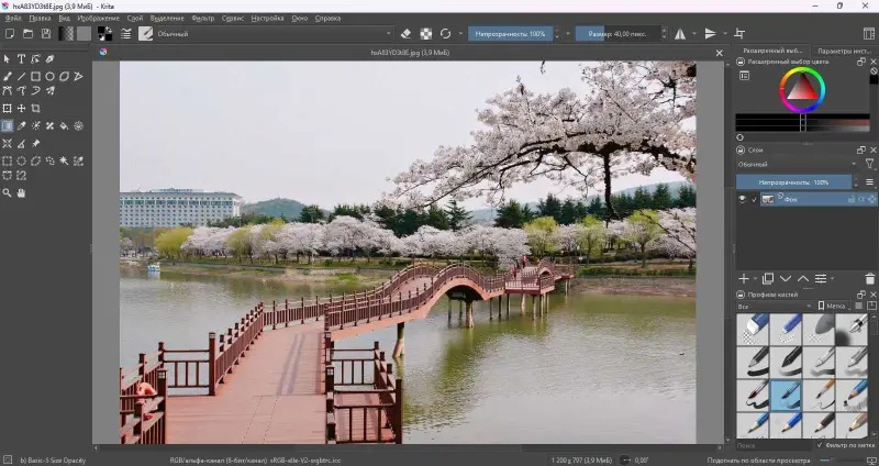Интерфейс Krita с холстом, кистями, цветом и панелью слоёв