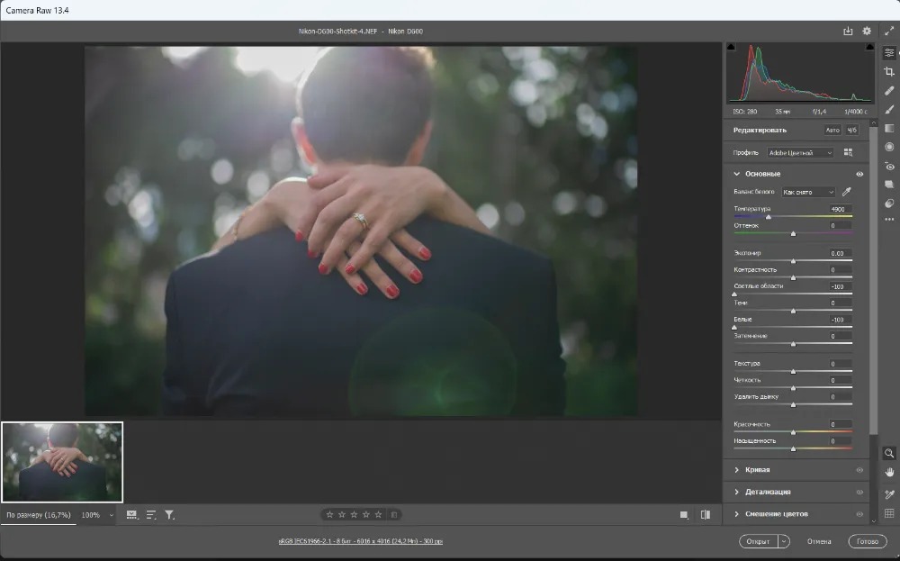 Adobe Camera Raw с гистограммой и настройками светлых областей